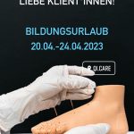 Fortbildung japanische Akupunktur 2023