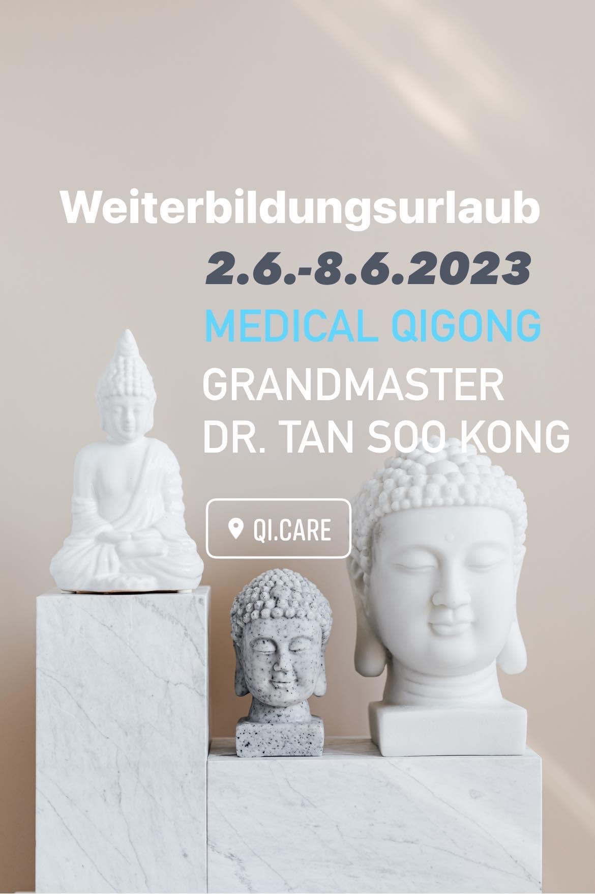 Medical Qigong Kurs Dr. Tan Soo Kong 2023