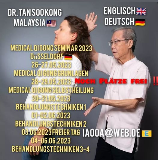 Medical Qigong Seminar 2023 mit Großmeister Dr. Tan Soo Kong