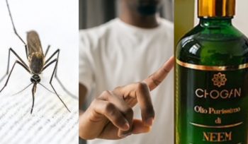 Natürlichen Mückenschutz mit Neemöl selber machen