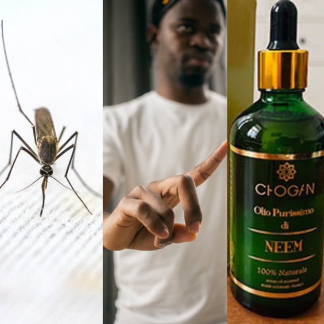 Natürlichen Mückenschutz mit Neemöl selber machen