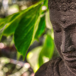 Tai Chi und Meditation im Stadtpark Wien