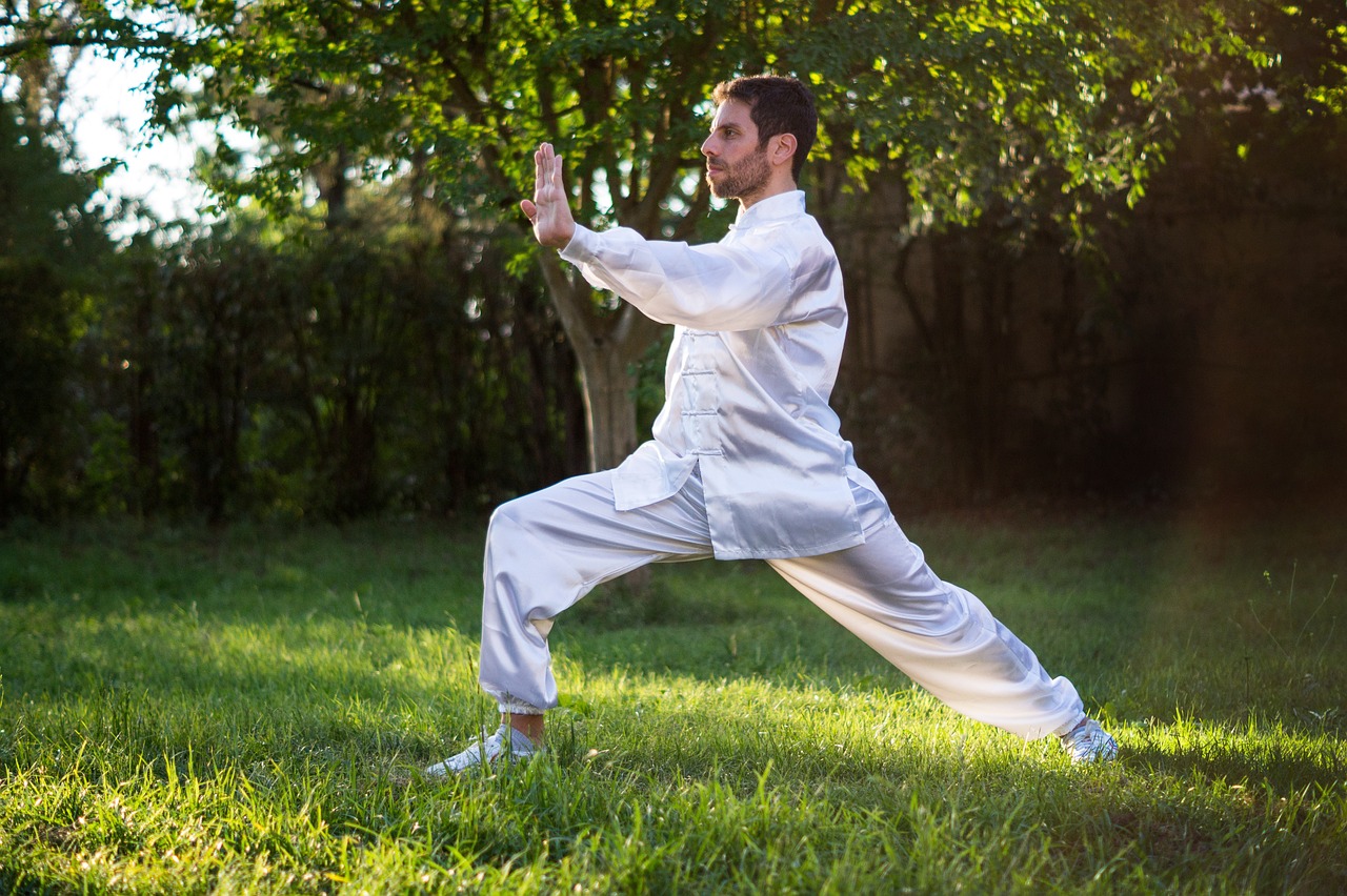 World Tai Chi and QiGong Day 2023